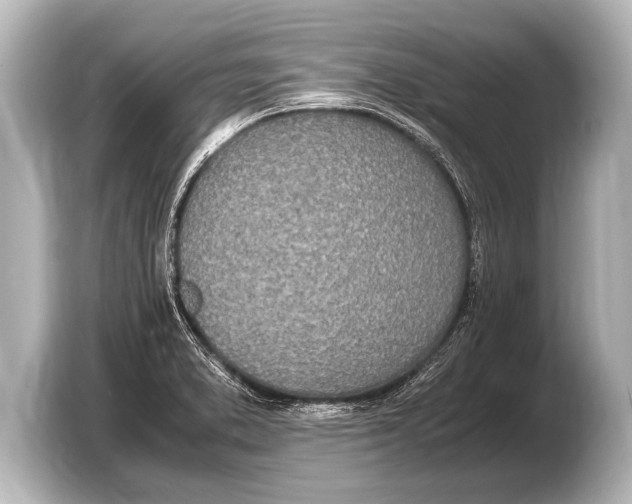 X0000103431373200810031342