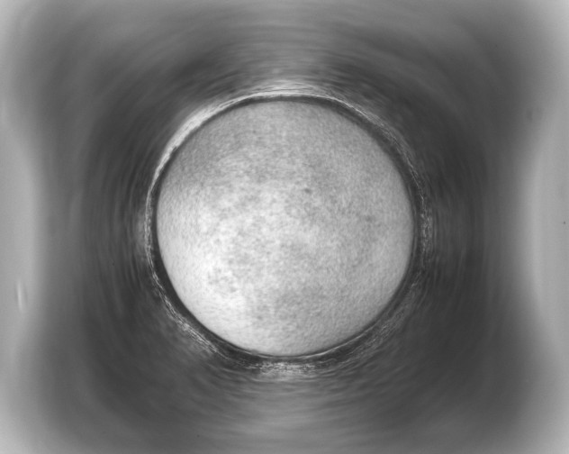 X0000103431374200810031342