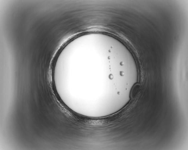 X0000103431376200810031342