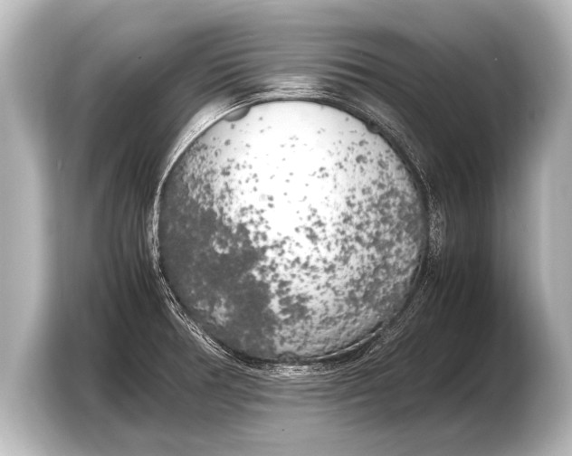 X0000103431378200810031342