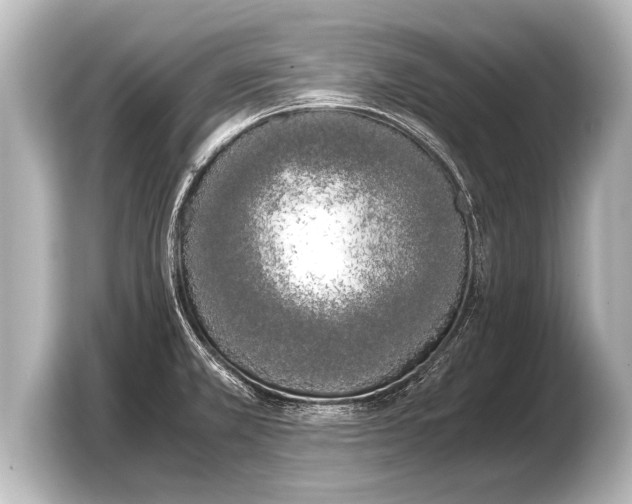 X0000103431381200810031342