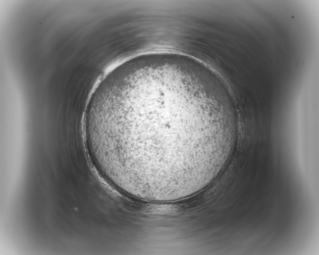 X0000103431382200810031342