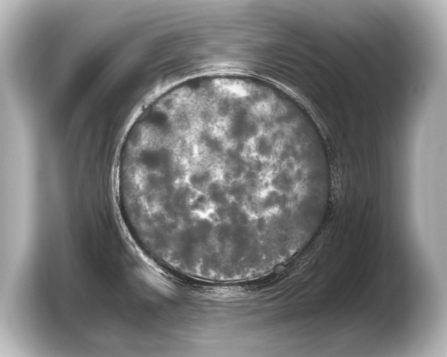 X0000103431383200810031342