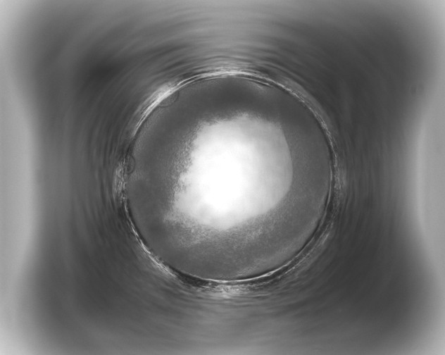 X0000103431385200810031342