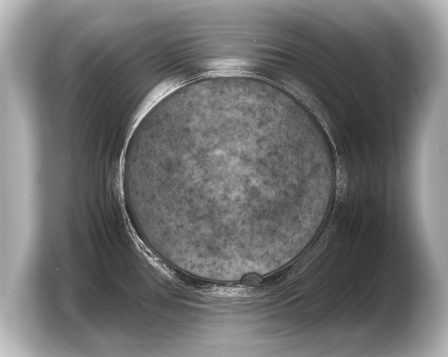 X0000103431386200810031342