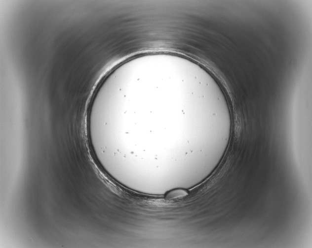 X0000103431388200810031342