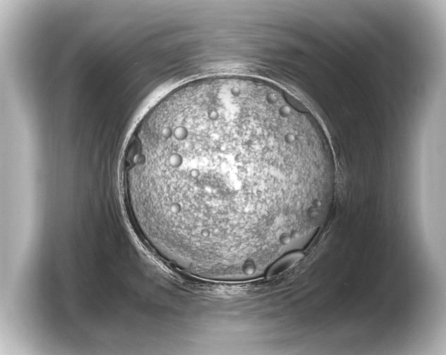 X0000103431389200810031342