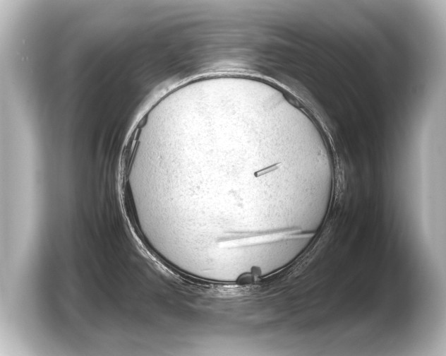 X0000103431390200810031342