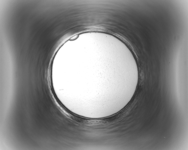 X0000103431391200810031342