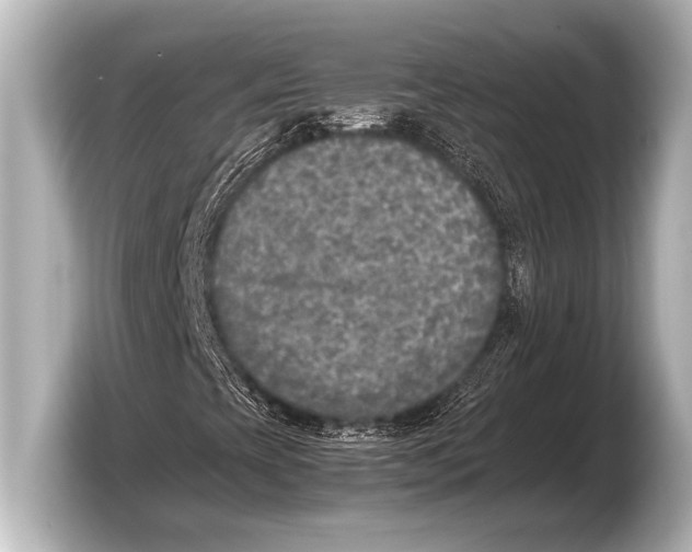 X0000103431393200810031341