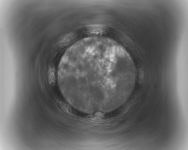 X0000103431394200810031341