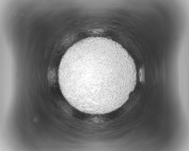 X0000103431395200810031341