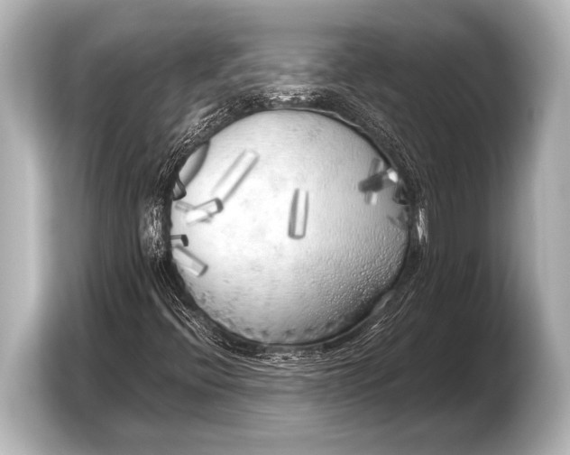 X0000103431396200810031341