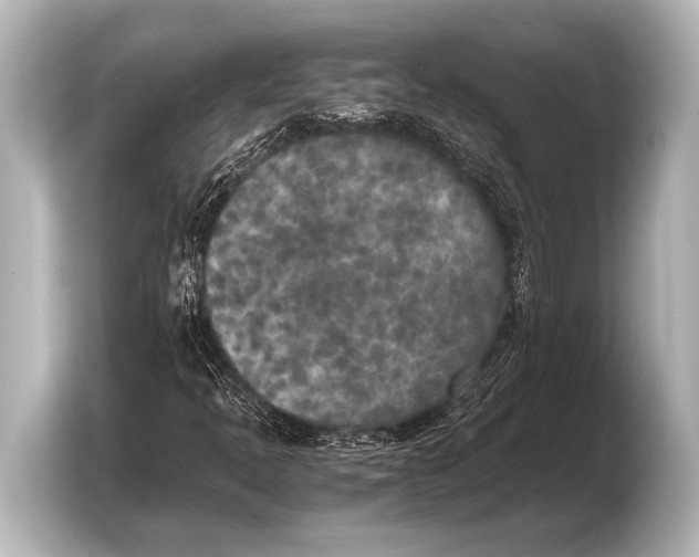 X0000103431397200810031341