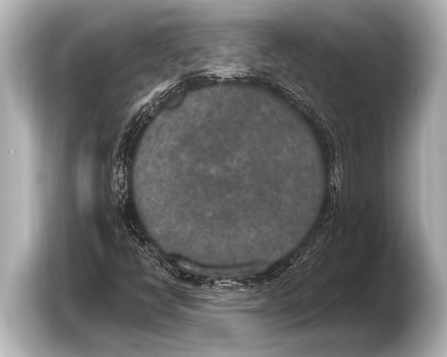 X0000103431398200810031341