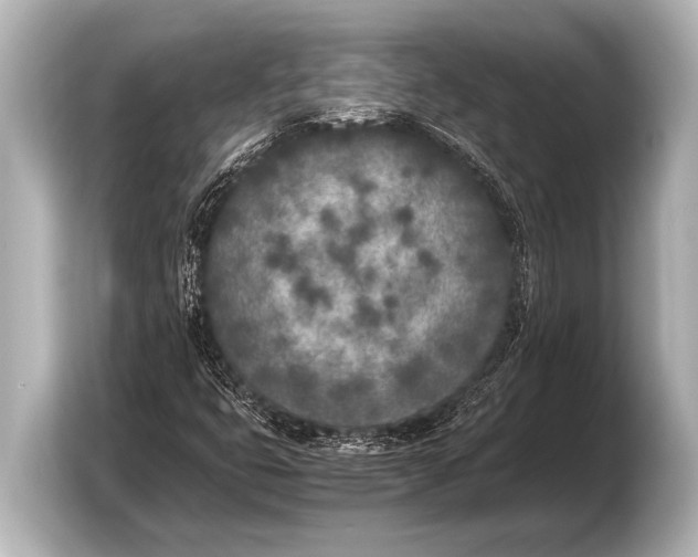 X0000103431399200810031341