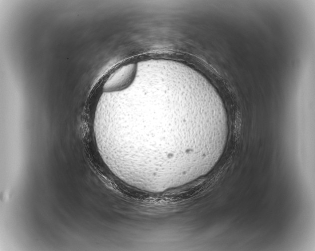 X0000103431400200810031341