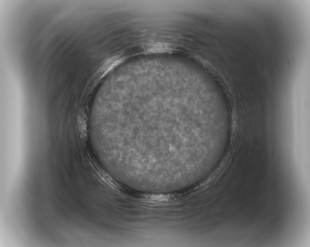 X0000103431401200810031341