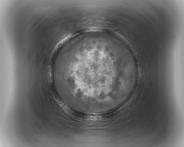 X0000103431403200810031341