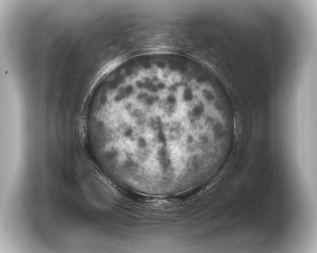 X0000103431405200810031341