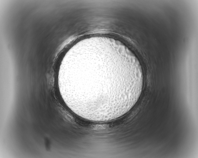 X0000103431406200810031341