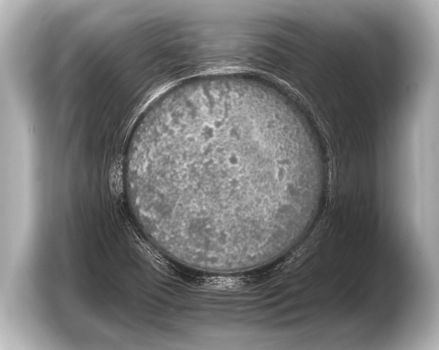 X0000103431409200810031341