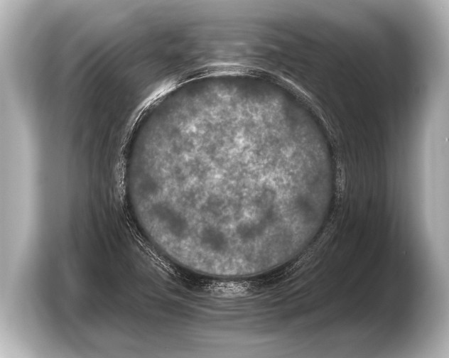 X0000103431411200810031341