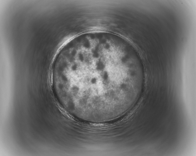 X0000103431413200810031342