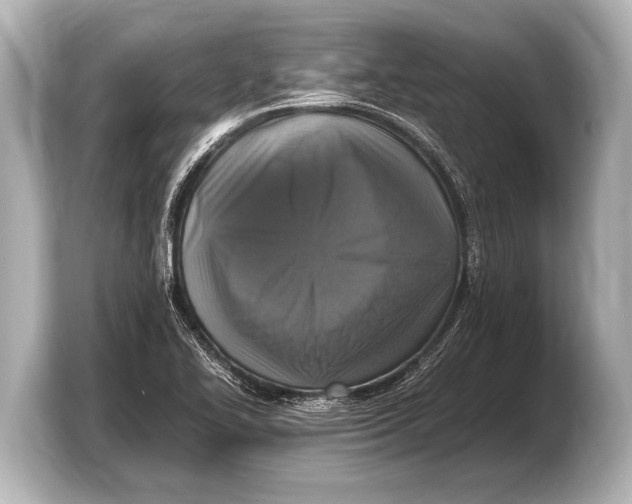 X0000103431414200810031342