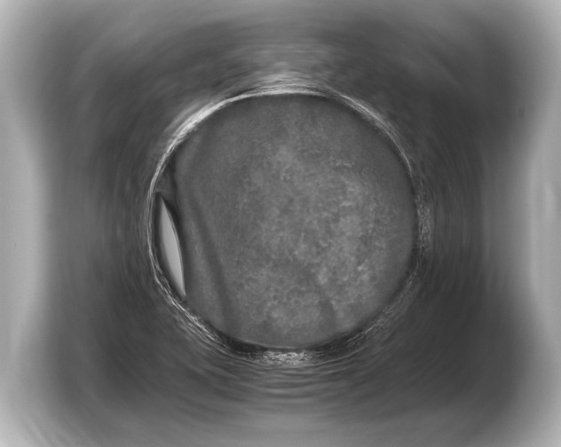 X0000103431415200810031342