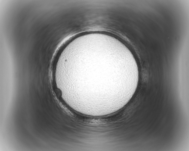 X0000103431416200810031342