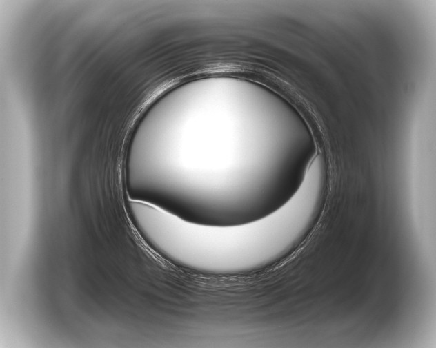 X0000103431417200810031342