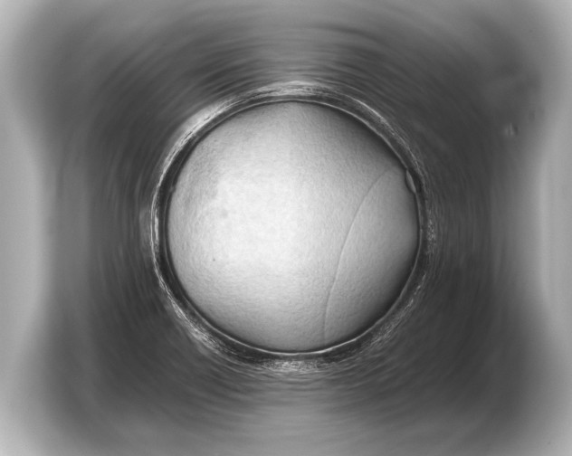 X0000103431418200810031342