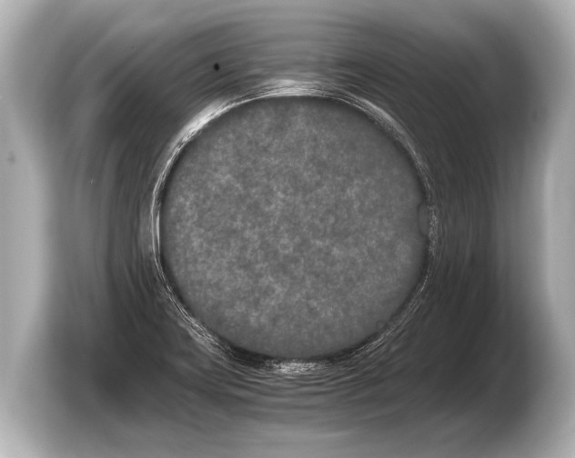 X0000103431419200810031342