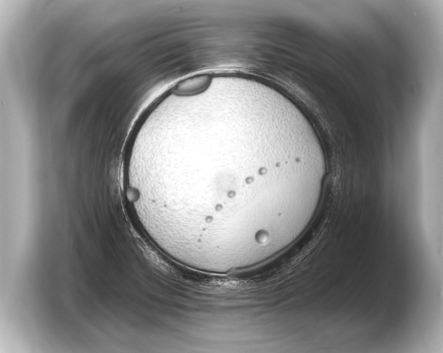 X0000103431420200810031342