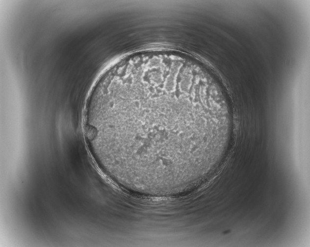 X0000103431421200810031342