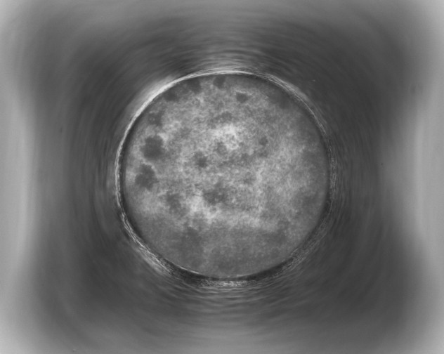 X0000103431423200810031342