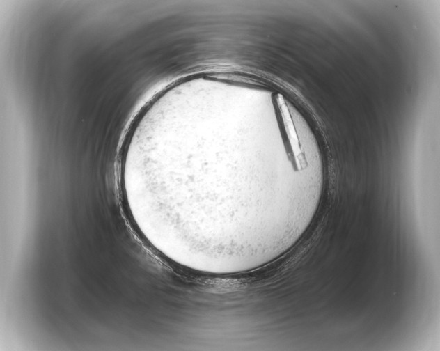 X0000103431424200810031342