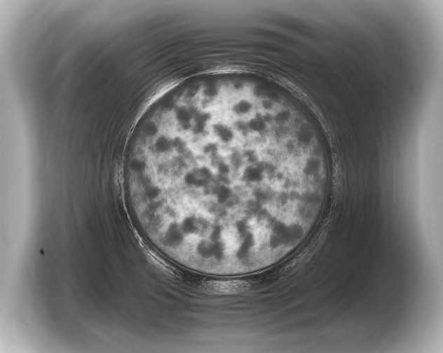 X0000103431425200810031342