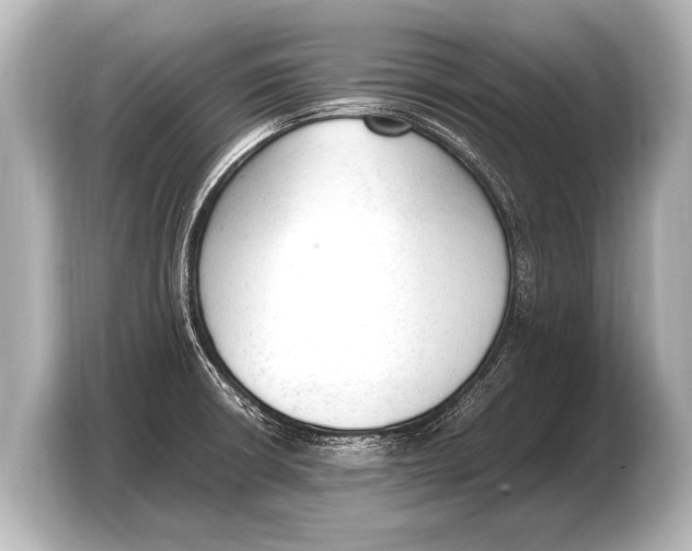 X0000103431426200810031342