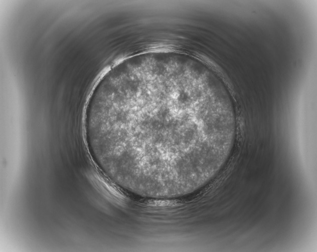 X0000103431427200810031342