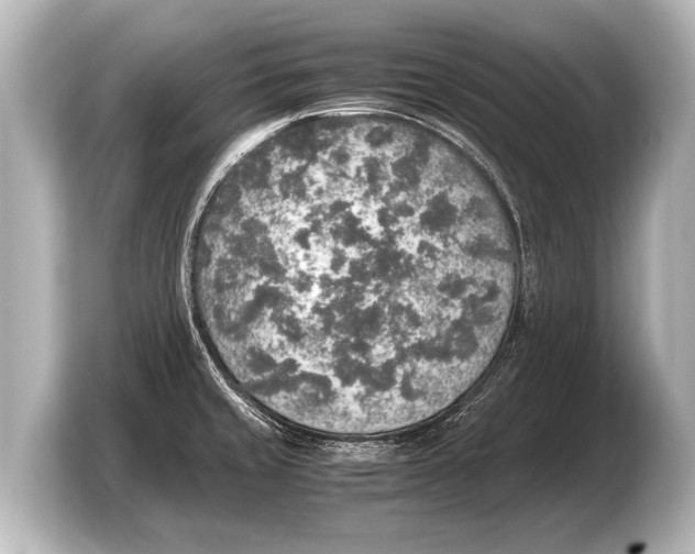 X0000103431429200810031342