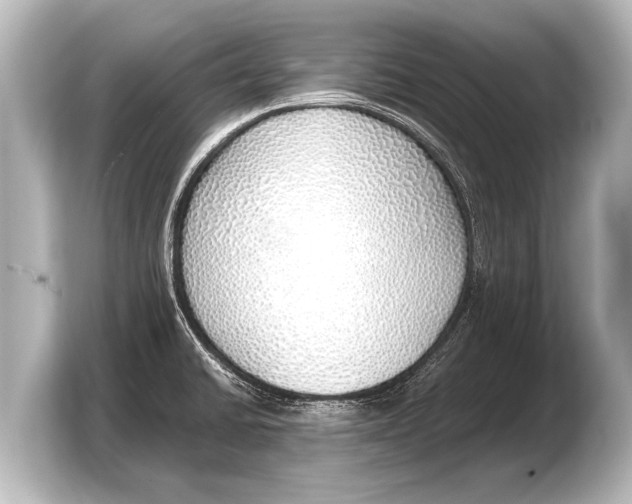 X0000103431430200810031342