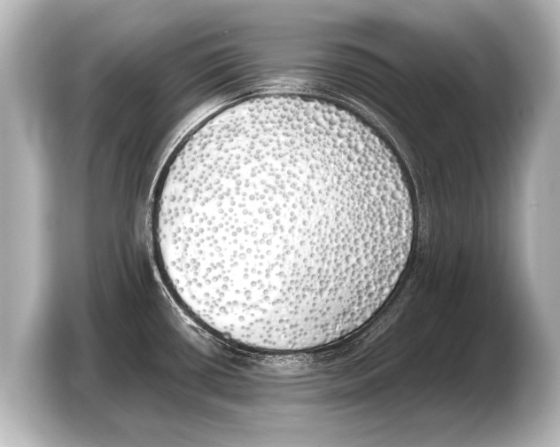 X0000103431434200810031342