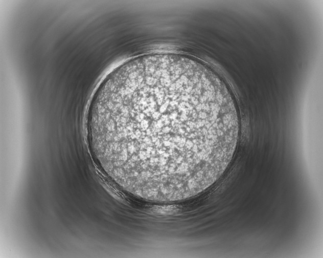 X0000103431435200810031342