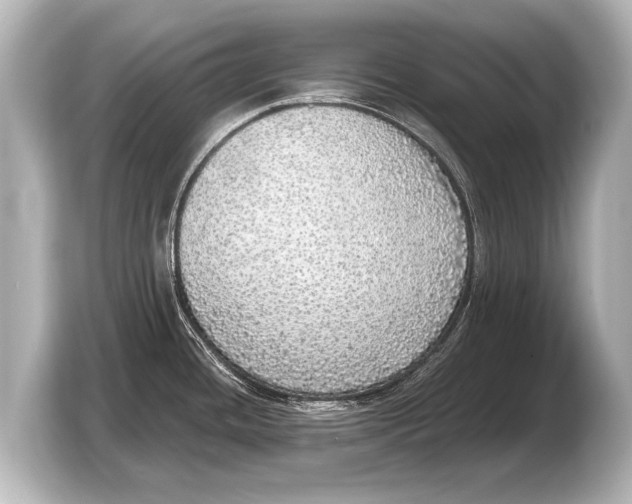 X0000103431436200810031342