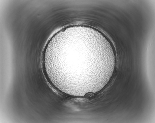 X0000103431437200810031342