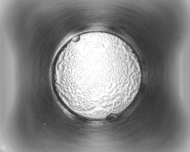 X0000103431438200810031342