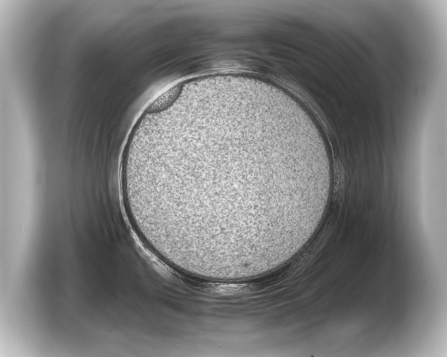 X0000103431439200810031342