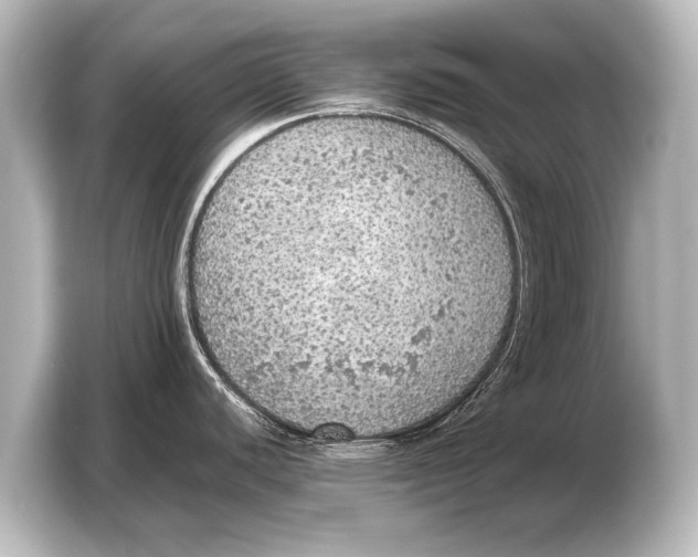 X0000103431440200810031342